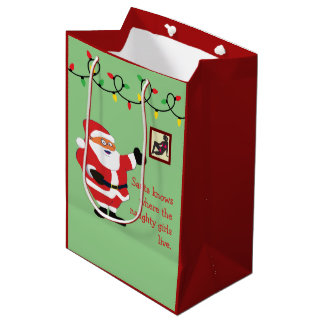 Naughty Girl Bad Santa Funny Joke Humour Fun Medium Gift Bag