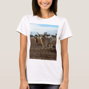 Naughty Highland Cows Ate All The Crop, T-Shirt