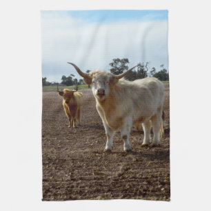 Naughty Highland Cows Ate Crop, Dish Towel