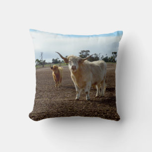 Naughty Highland Cows, Throw Pillow