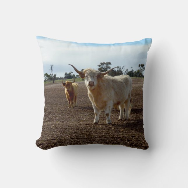 Naughty Highland Cows, Throw Pillow (Front)