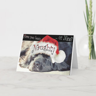 Naughty Holiday Card