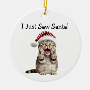 Naughty Kitty Noël Fun Cat Ornement