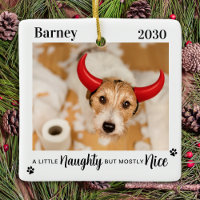 Naughty Nice Funny Dog Pet Photo Christmas