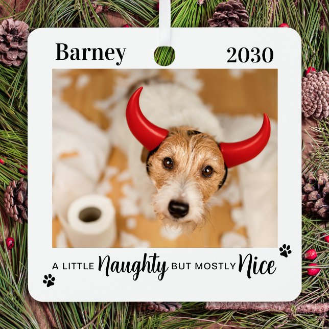 Naughty Nice Funny Dog Pet Photo Christmas Metal Ornament (Creator Uploaded)