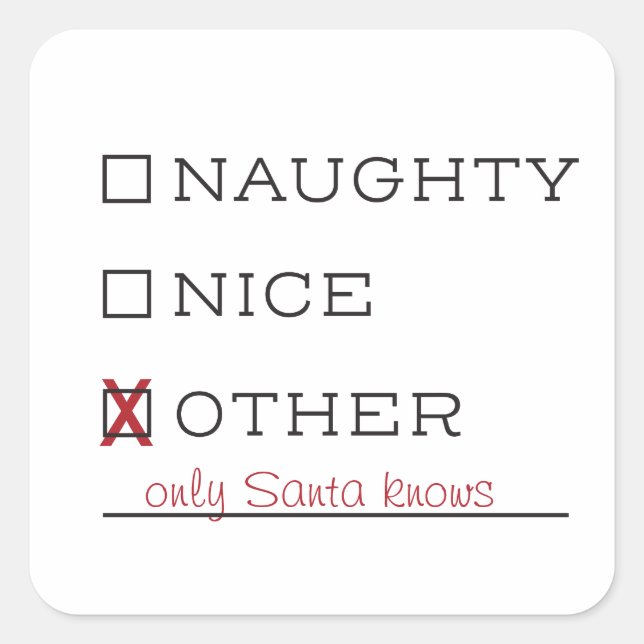 Naughty or Nice Funny Christmas Stickers (Front)