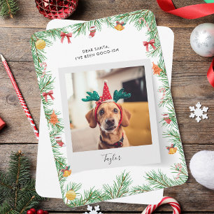 Naughty or Nice Funny Dog Photo Christmas Holiday Card