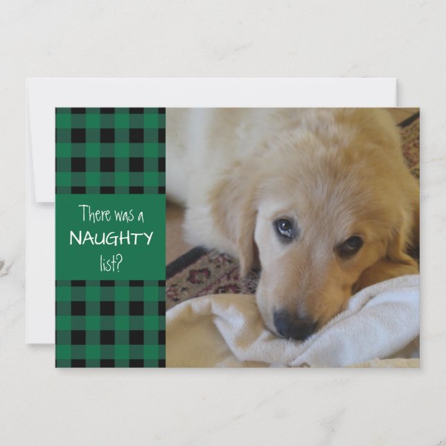 Naughty or Nice Green Plaid HAPPY HOLIDAYS Holiday Card (Front)