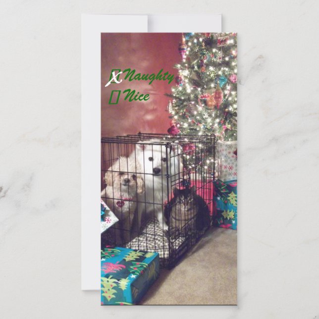 Naughty or Nice Holiday Card (Front)