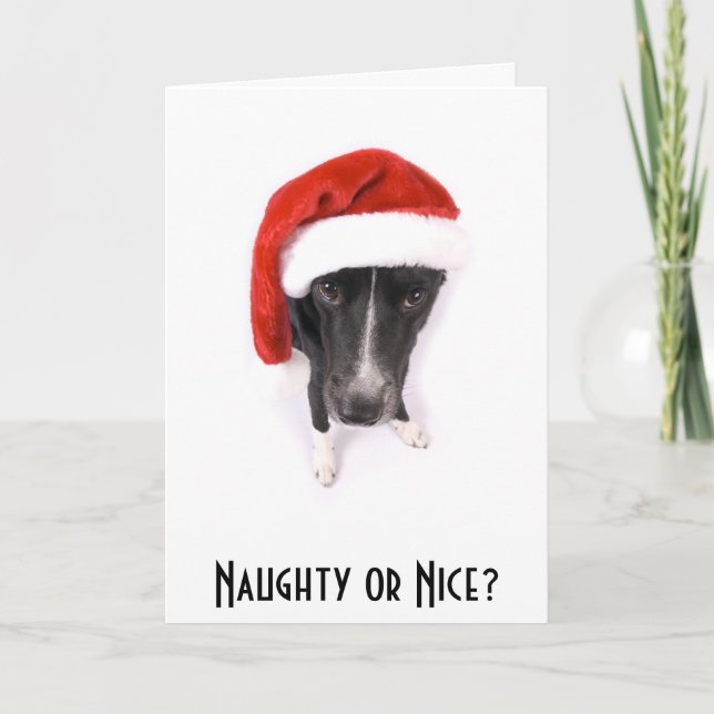Naughty or Nice? Holiday Card (Front)