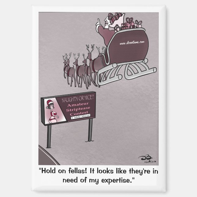 Naughty Or Nice Holiday Magnet (Front)