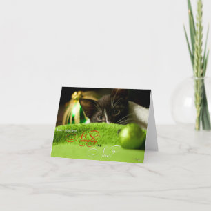 Naughty or Nice Kitten Holiday Card