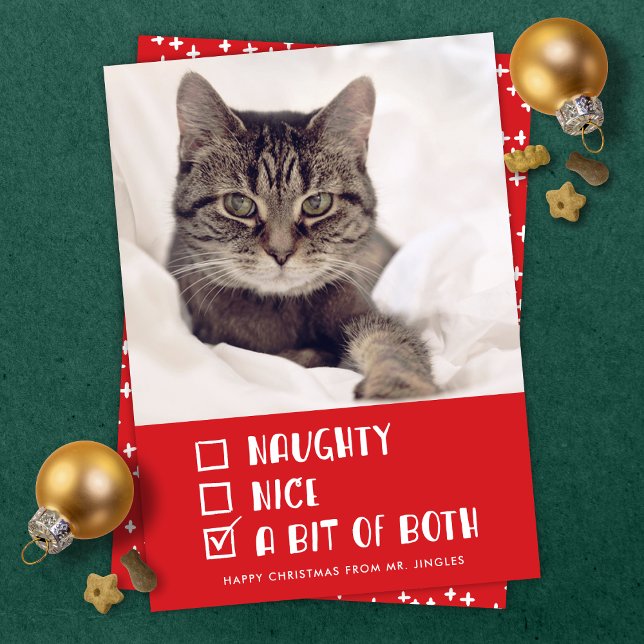 Naughty OR Nice OR Both Funny Pet Holiday Photo Card (Creator Uploaded)