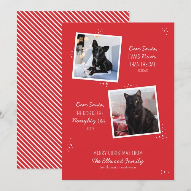Naughty or Nice Pet Funny Christmas Card (Front/Back)