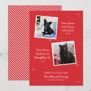 Naughty or Nice Pet Funny Christmas Card