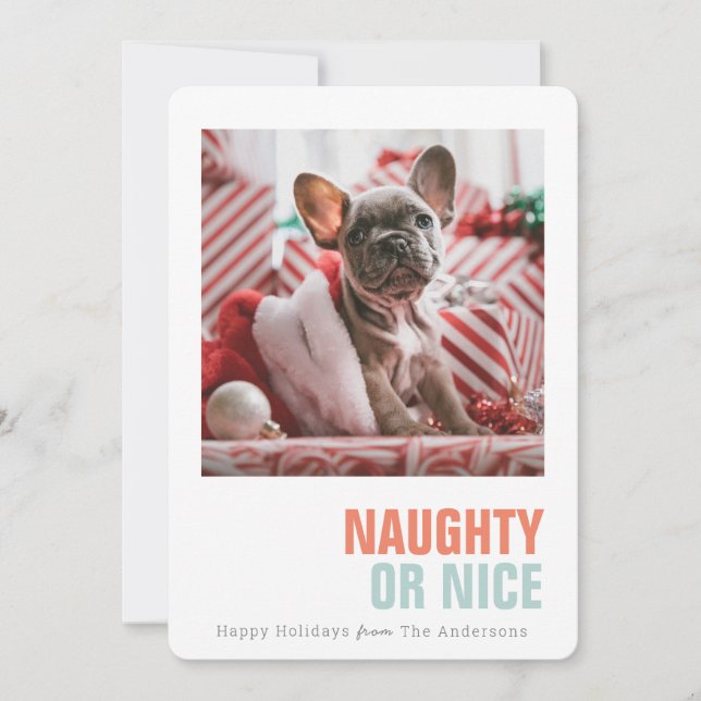 Naughty or Nice Simple Pet Holiday Photo (Front)