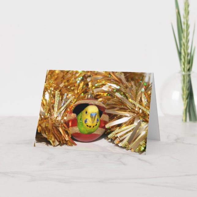 Naughty parakeet Christmas Holiday Card (Front)