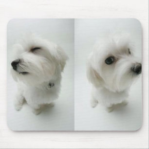 naughty-puppies mouse pad