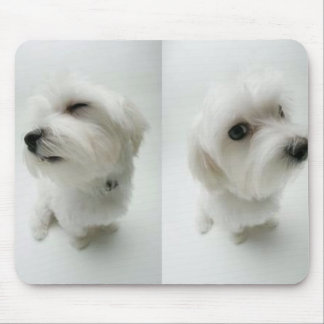 naughty-puppies mouse pad