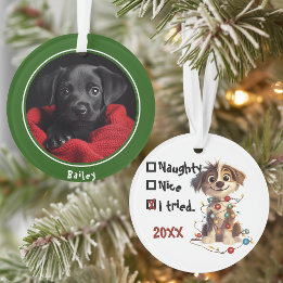 Naughty Puppy Père Noël Checklist Green