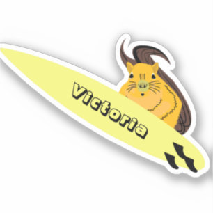 Naughty Squirrel #1185 Surfing