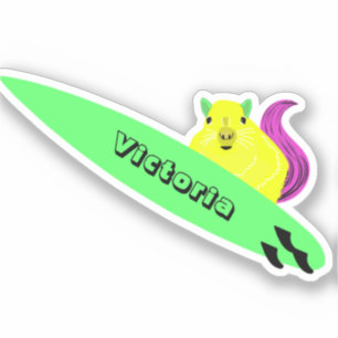 Naughty Squirrel #1723 Surfing