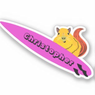 Naughty Squirrel #648 Surfing