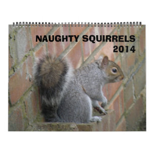 Naughty Squirrels 2014 Calendar
