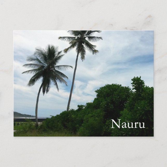 nauru palms postcard (Front)