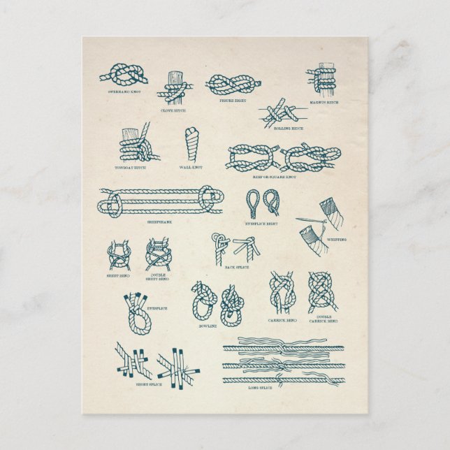 Nautical Knots and Splices Chart Postcard (Front)