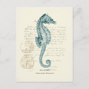 Nautical Mile Postcard