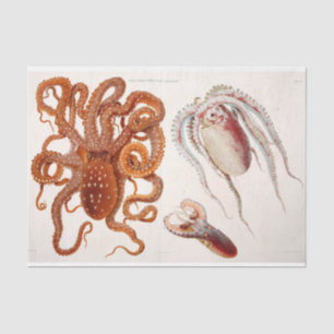 Nautical Octopus Squid Ephemera Decoupage Red Tissue Paper