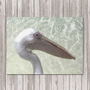 Nautical Pelican In Water Watercolor Doormat