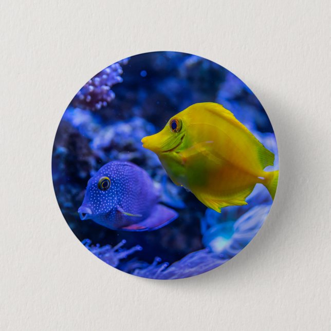 Nautical Photos Marine Animal Photography Fish Pic 2 Inch Round Button (Front)