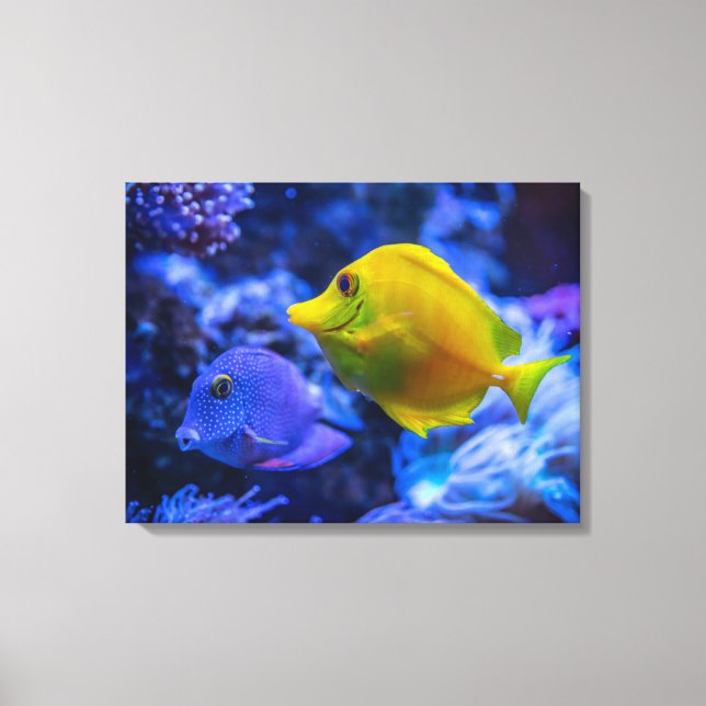 Nautical Photos Marine Animal Photography Fish Pic Canvas Print (Front)