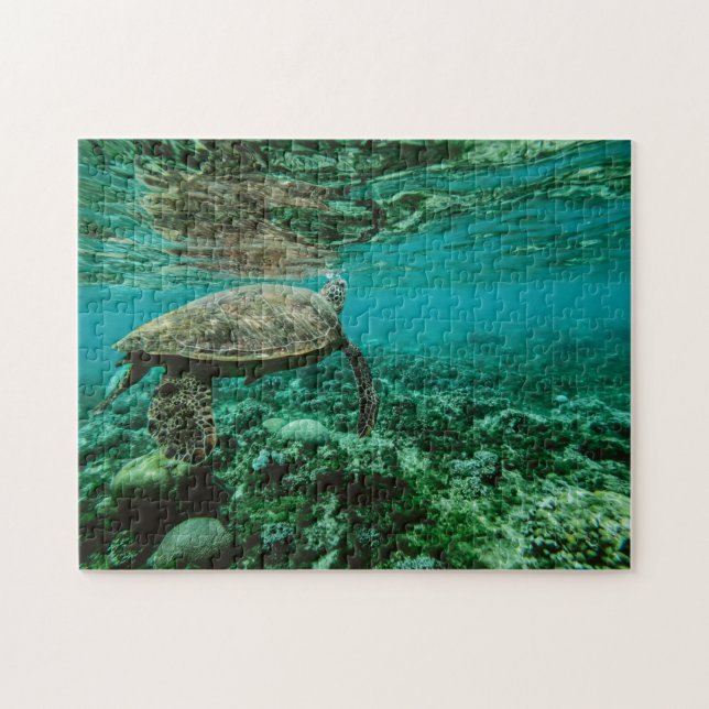 Nautical Photos Marine Animal Photography Fish Pic Jigsaw Puzzle (Horizontal)