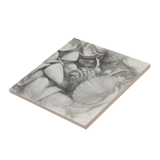 Nautical Sea Shells Ocean Beach Vintage Antique Tile (Side)