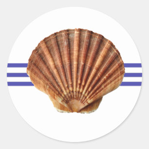 Nautical Seashell - Circle Sticker