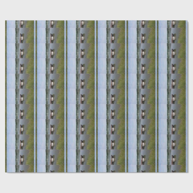 nautical shipping boat buoy, ship rope quay canal wrapping paper (Flat)