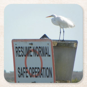 Nautical Sign Coasters