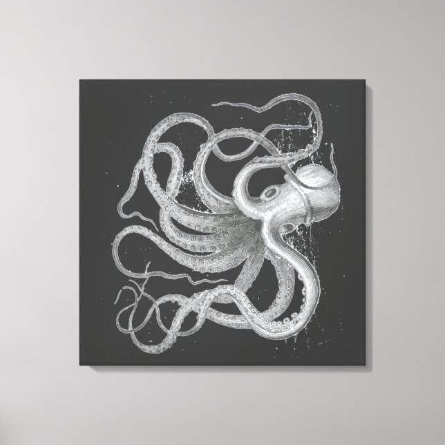 Nautical Steampunk Octopus Vintage Kraken Drawing Canvas Print (Front)