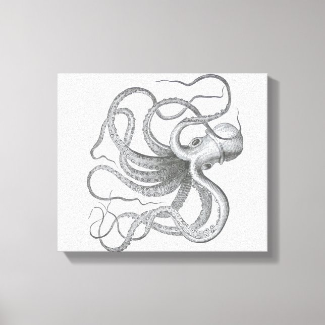 Nautical steampunk octopus vintage kraken drawing canvas print (Front)