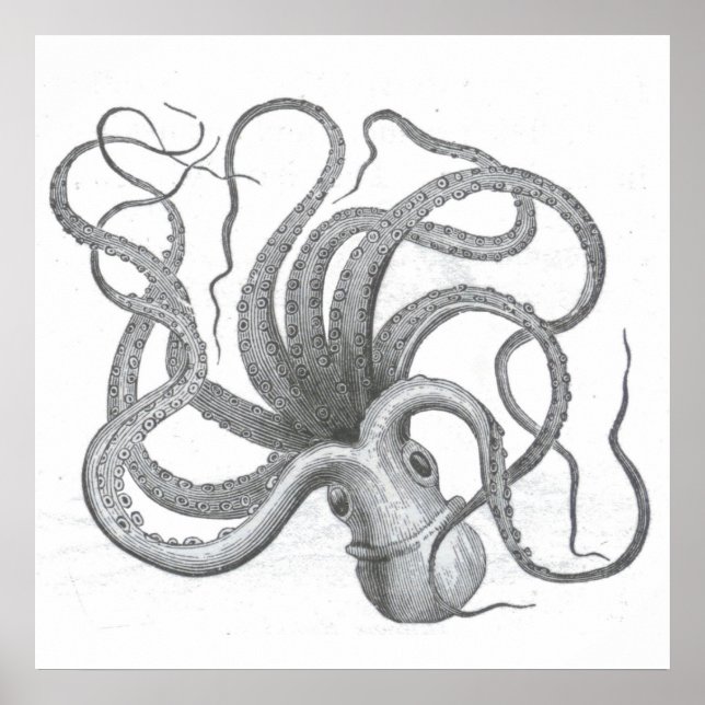 Nautical steampunk octopus vintage kraken drawing poster (Front)