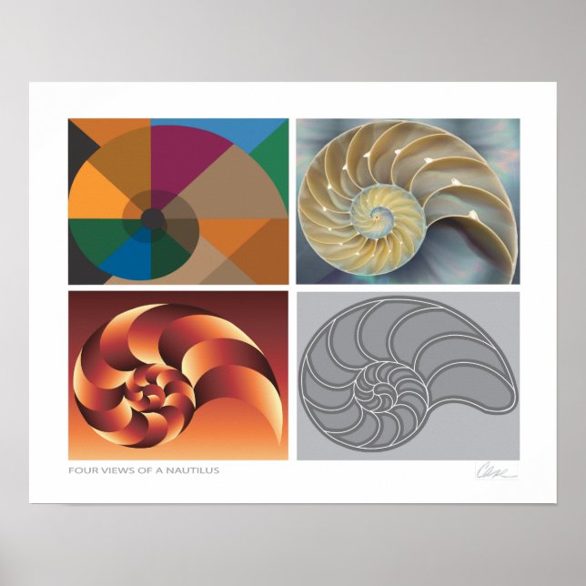 Nautilus 4 views poster (Front)