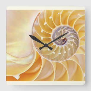 Nautilus Acrylic Wall Clock