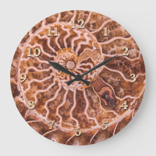 NAUTILUS ANCIENT SPIRAL LARGE CLOCK