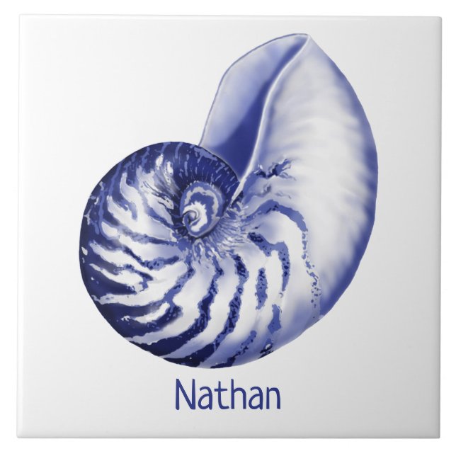 Nautilus bleu et blanc avec carreaux céramiques de (Devant)