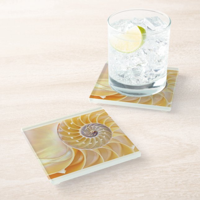 Nautilus Glass Coaster (Angled)
