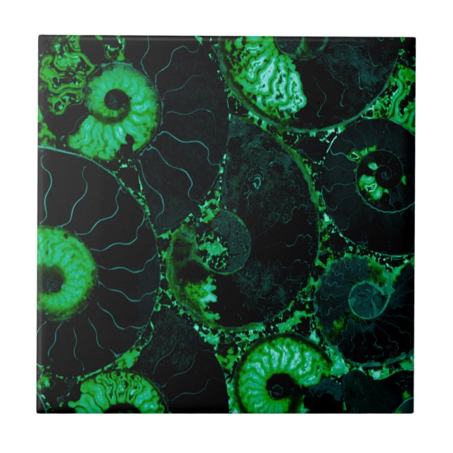Nautilus green shell design tile (Front)