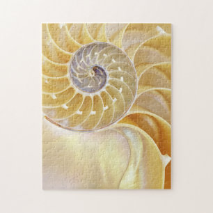 Nautilus Jigsaw Puzzle